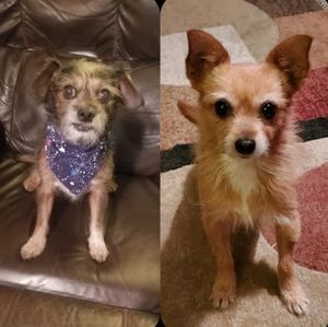 Meet your Posher, Leeann